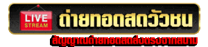ดูไลฟ์สดวัวชน