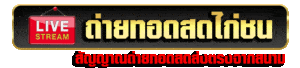 ดูไลฟ์สดไก่ชน